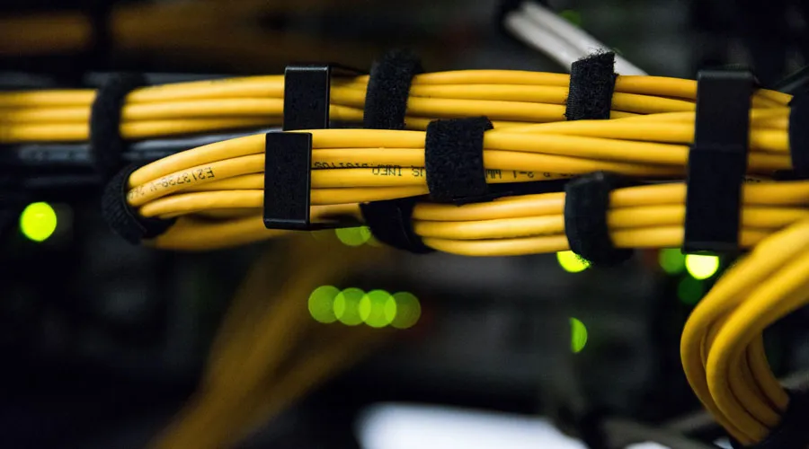 Un pájaro sentado sobre un nido de huevos.