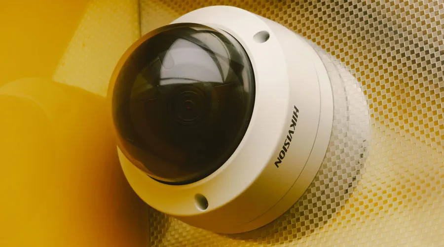 Un pájaro sentado sobre un nido de huevos.